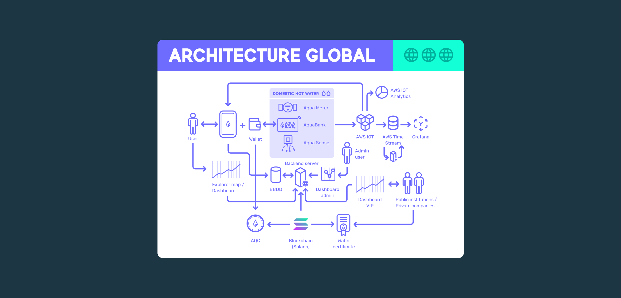 network vision